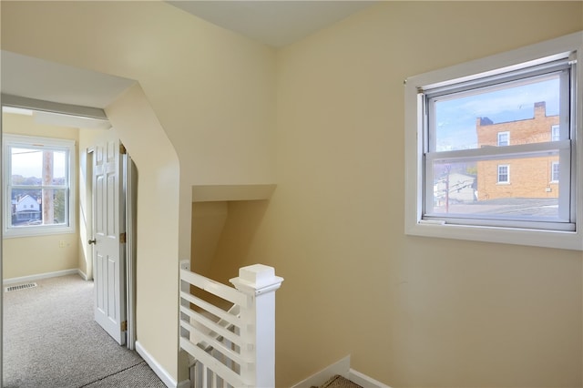 staircase featuring carpet