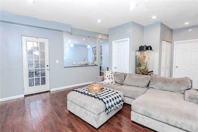 living room featuring sink and dark wood-type flooring