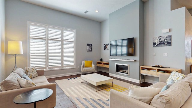 living room with wood-type flooring