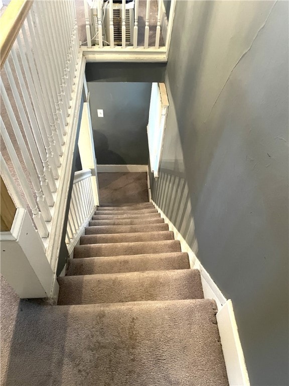 stairs featuring carpet floors