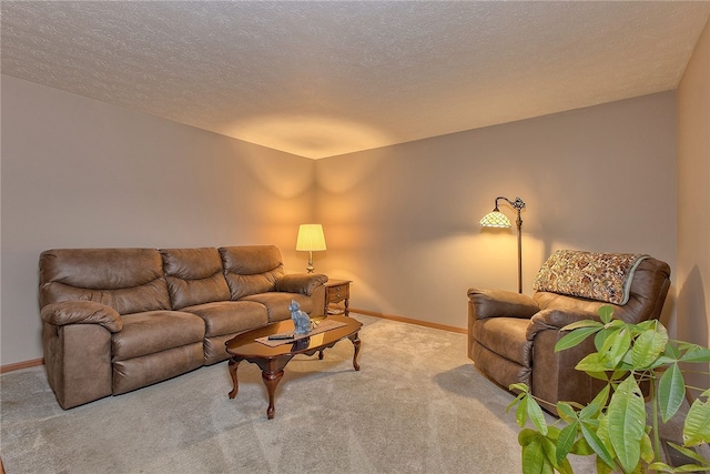 living room featuring carpet and a textured ceiling