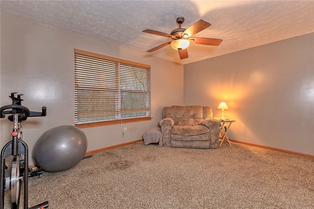 workout room featuring ceiling fan, carpet, and a textured ceiling