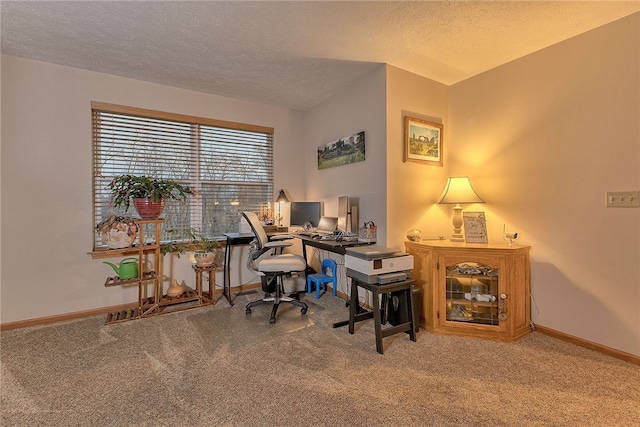 office with carpet and a textured ceiling