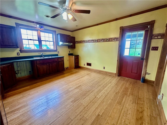 kitchen featuring plenty of natural light, ceiling fan, sink, and light hardwood / wood-style flooring