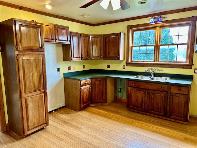 kitchen featuring light wood-type flooring, ceiling fan, crown molding, and sink