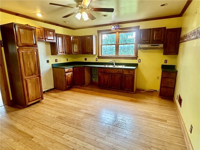 kitchen with ceiling fan, sink, crown molding, and light wood-type flooring