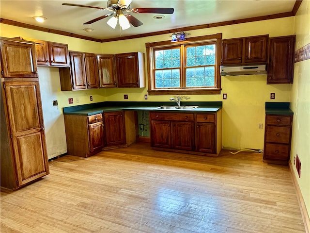 kitchen featuring ceiling fan, light hardwood / wood-style floors, crown molding, and sink