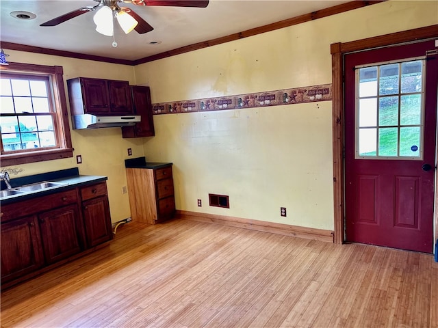 kitchen with light hardwood / wood-style flooring, ceiling fan, crown molding, and sink