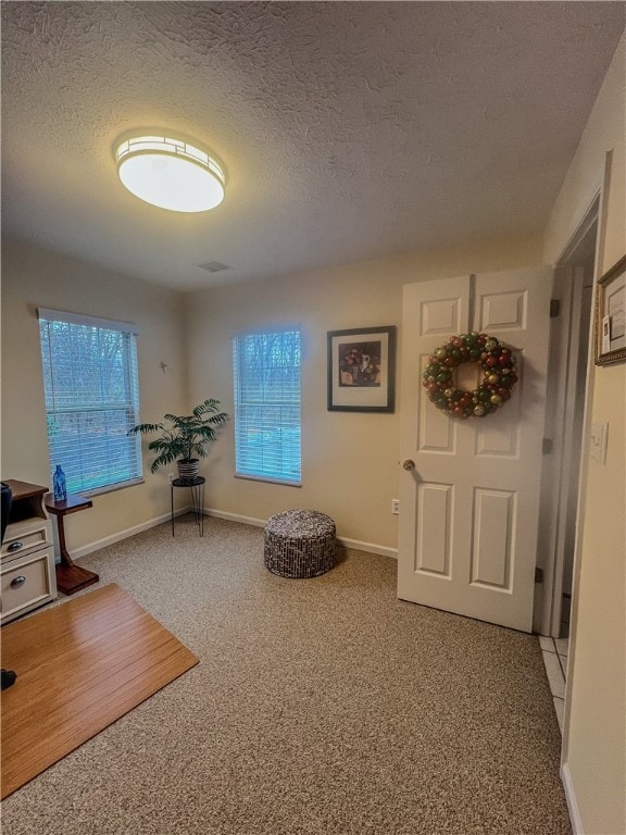 living area with carpet and a textured ceiling