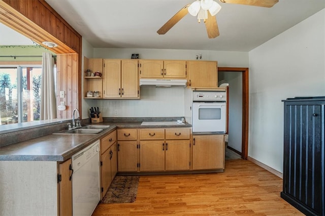 kitchen with light wood-type flooring, white appliances, ceiling fan, and sink