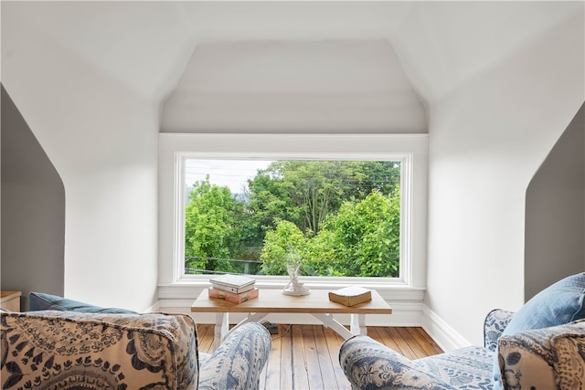 interior space with hardwood / wood-style flooring, a healthy amount of sunlight, and vaulted ceiling