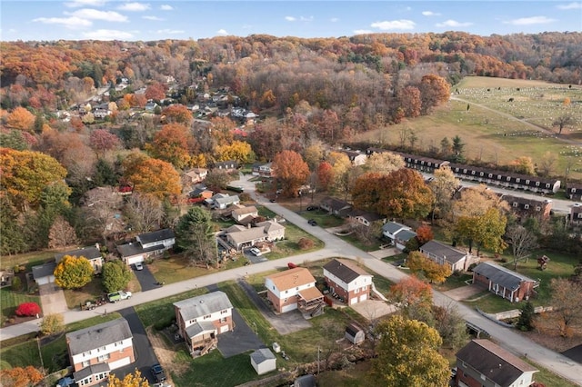 bird's eye view