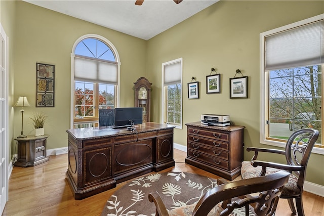 office space featuring ceiling fan and light wood-type flooring