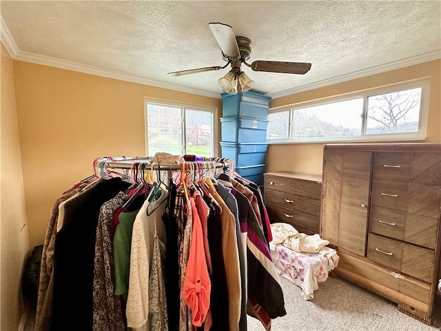 spacious closet featuring ceiling fan and carpet