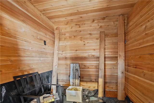 view of sauna featuring wooden walls