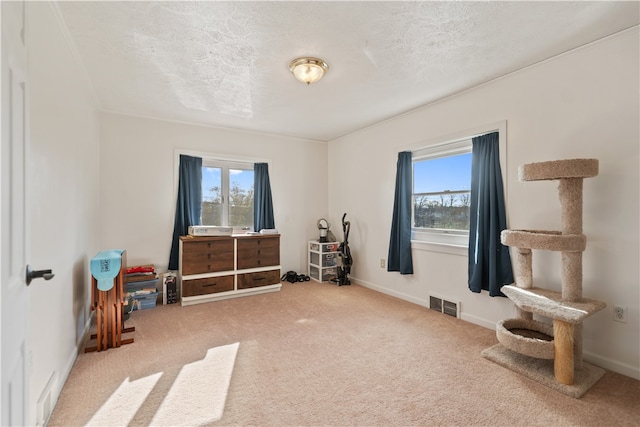 miscellaneous room with carpet and a textured ceiling