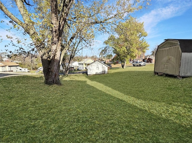 view of yard with a shed