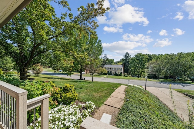 view of property's community with a yard