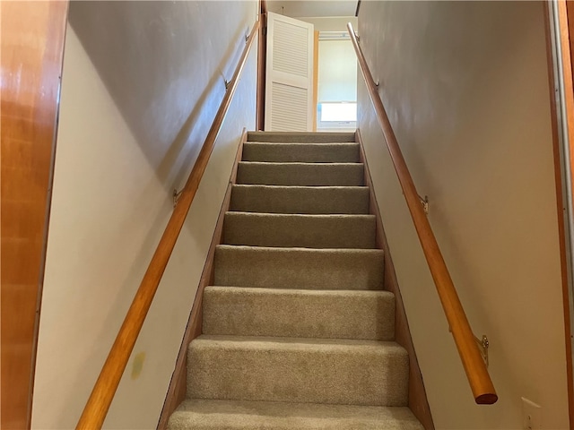 staircase featuring carpet flooring