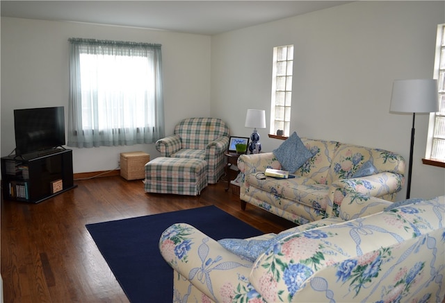 living room with dark hardwood / wood-style flooring