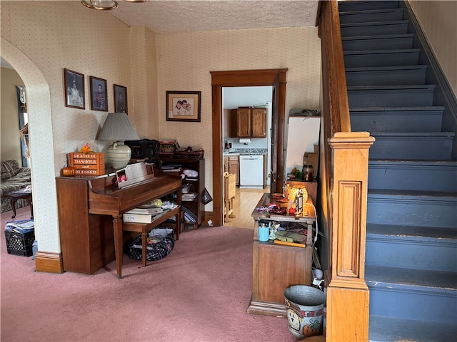 interior space with carpet and a textured ceiling