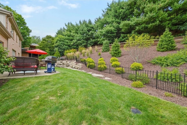 view of yard with a patio