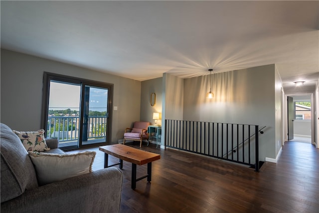 living room with dark hardwood / wood-style flooring