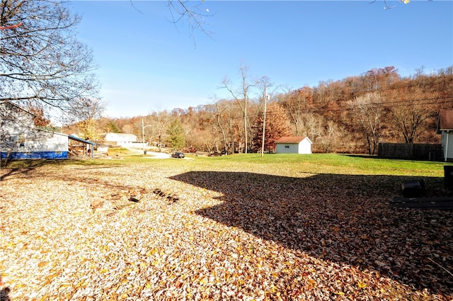 view of yard with a shed