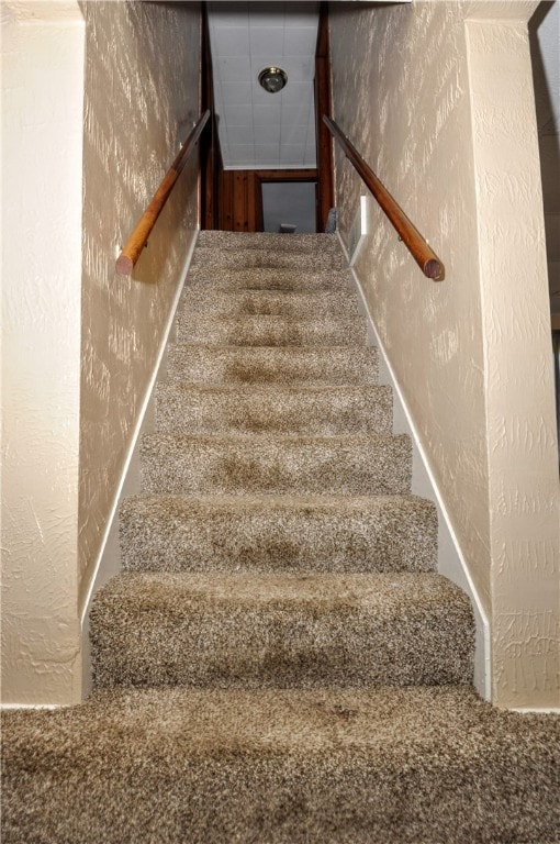 stairway featuring carpet floors