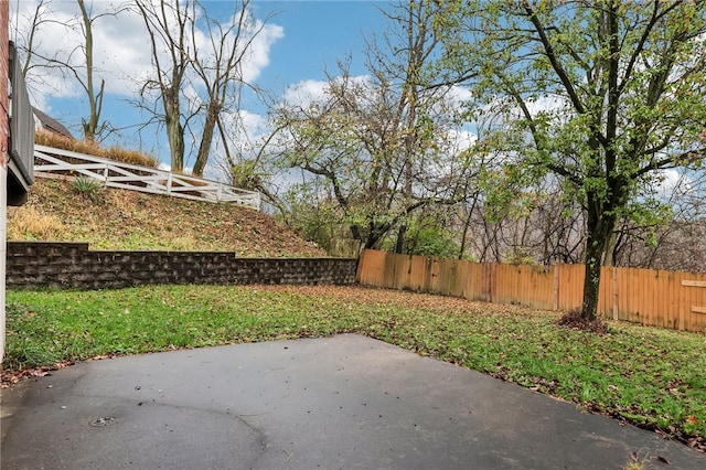 view of yard featuring a patio area