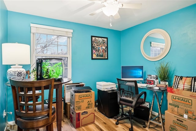 home office with light hardwood / wood-style floors and ceiling fan