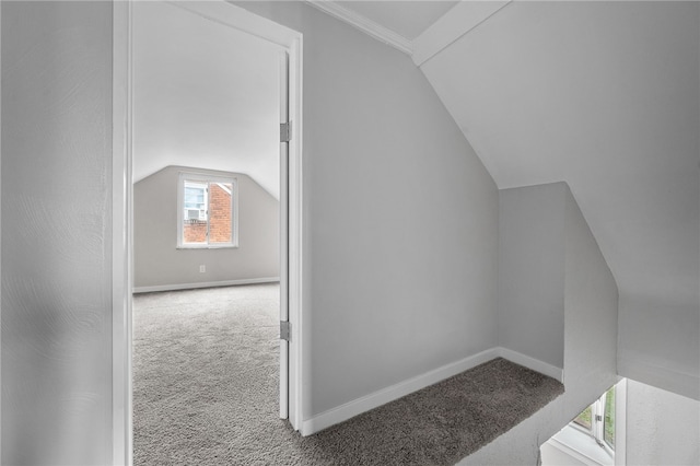 additional living space featuring carpet floors and lofted ceiling