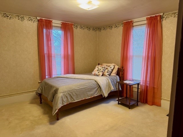 bedroom featuring carpet flooring