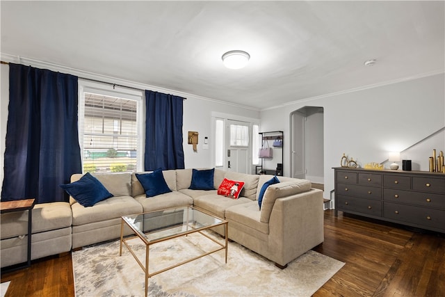 living room featuring dark hardwood / wood-style floors and crown molding