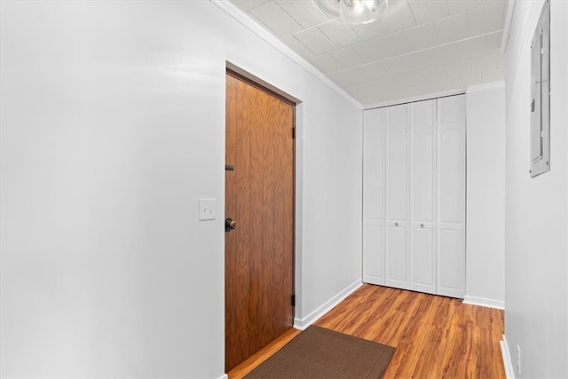 corridor featuring crown molding and light hardwood / wood-style floors