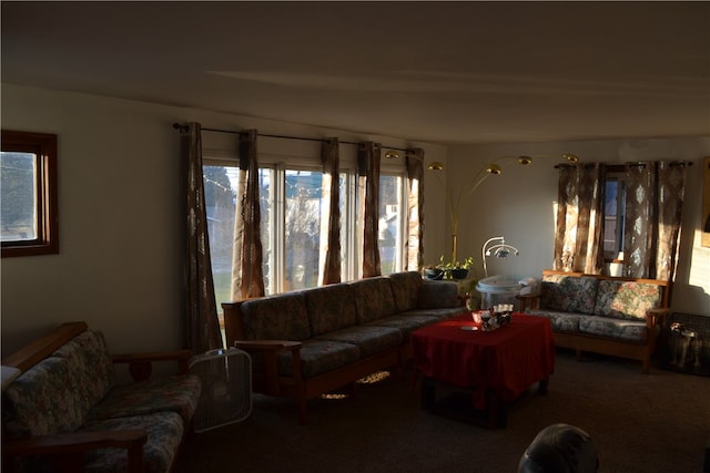 living room featuring carpet floors