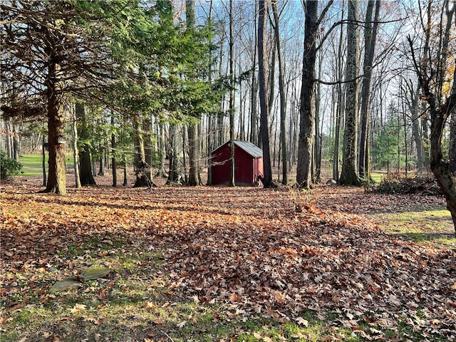 view of yard featuring a storage unit