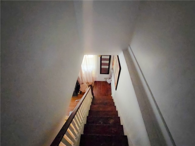 stairs with hardwood / wood-style floors