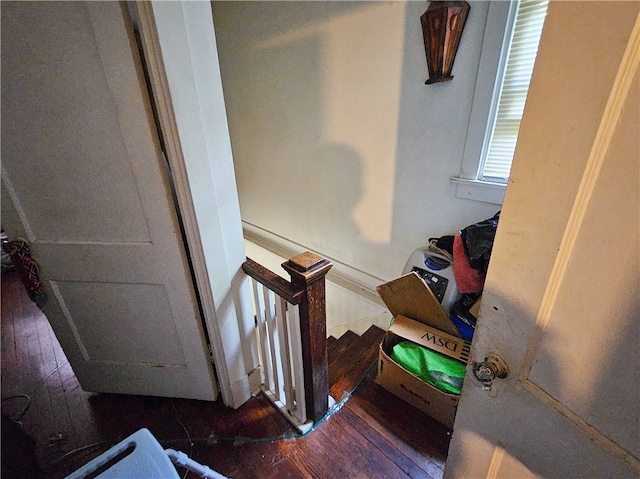 stairway with hardwood / wood-style floors