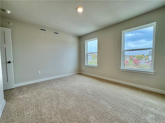 carpeted empty room featuring a healthy amount of sunlight and a textured ceiling