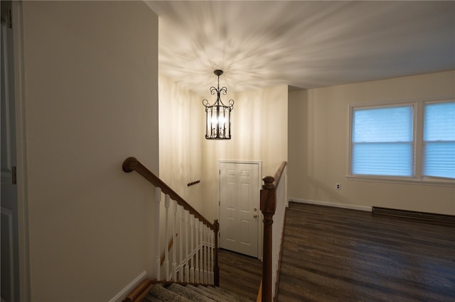 stairway with a chandelier and wood-type flooring