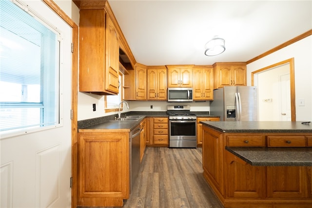 kitchen with sink, stainless steel appliances, and dark hardwood / wood-style floors