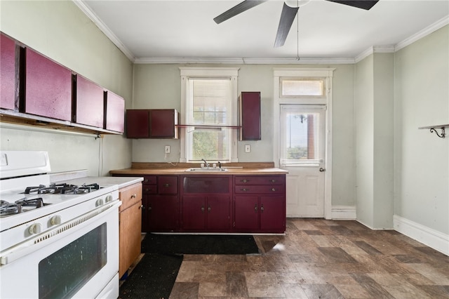 kitchen featuring crown molding, sink, ceiling fan, and white gas range oven