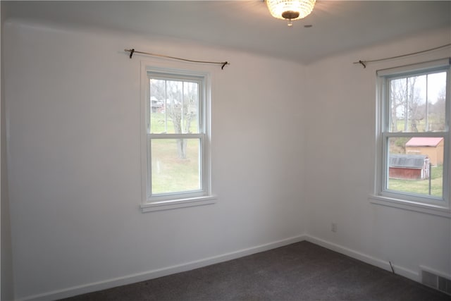 carpeted empty room featuring a wealth of natural light