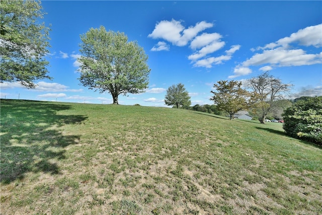 view of yard featuring a rural view