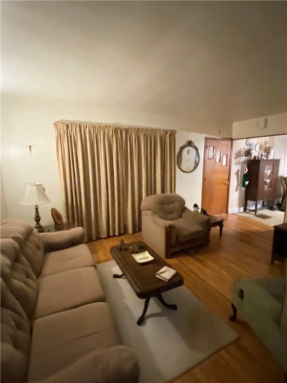 living room featuring hardwood / wood-style flooring