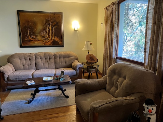 living room with a healthy amount of sunlight and wood-type flooring