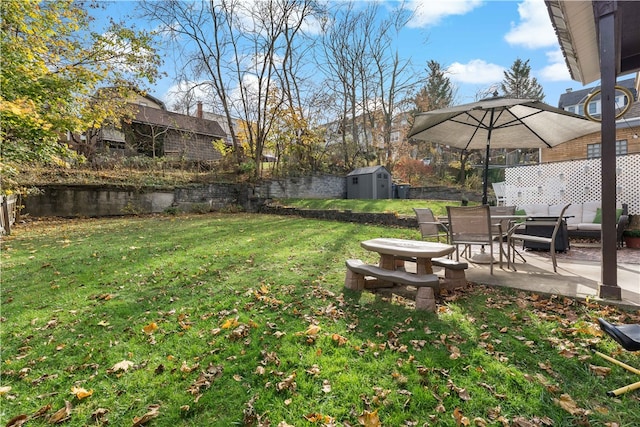 view of yard with a patio and a storage shed