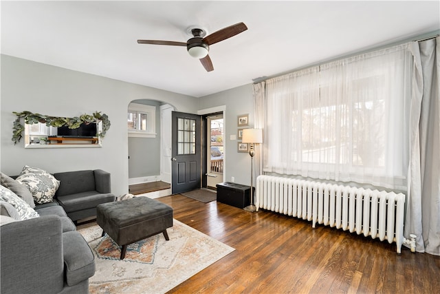 living room featuring dark hardwood / wood-style flooring, radiator, and ceiling fan