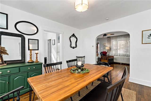 dining area featuring radiator, ceiling fan, and dark hardwood / wood-style flooring